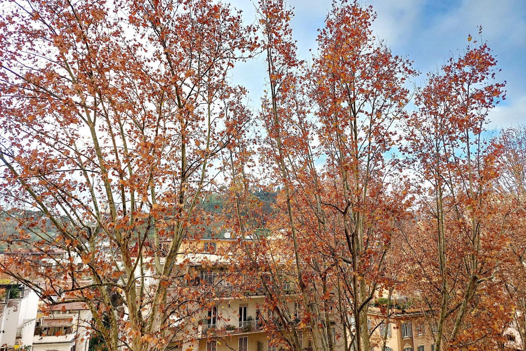 Apartment Casa Giannetta